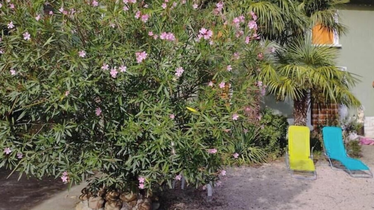 Photo of Outdoor in Puydarrieux