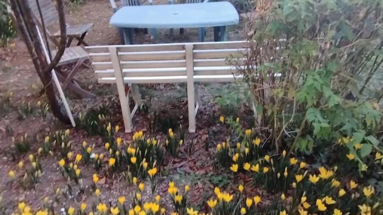 Photo of Outdoor in Puydarrieux