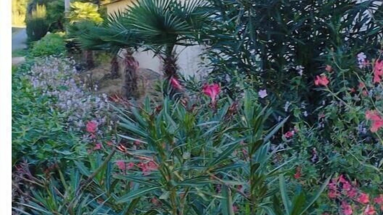 Photo of Outdoor in Puydarrieux