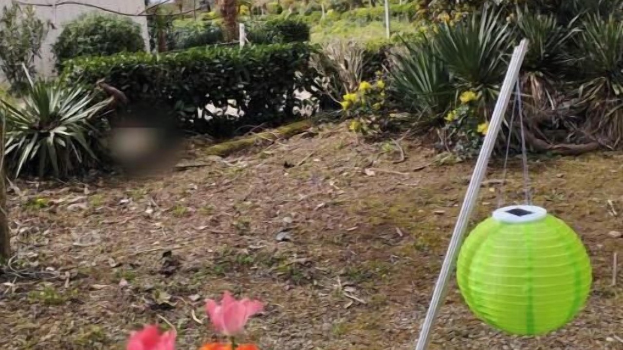 Photo of Outdoor in Puydarrieux