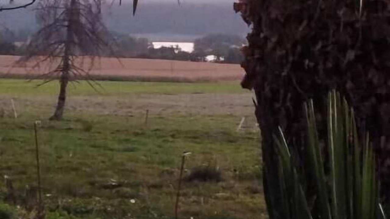 Photo of Others in Puydarrieux