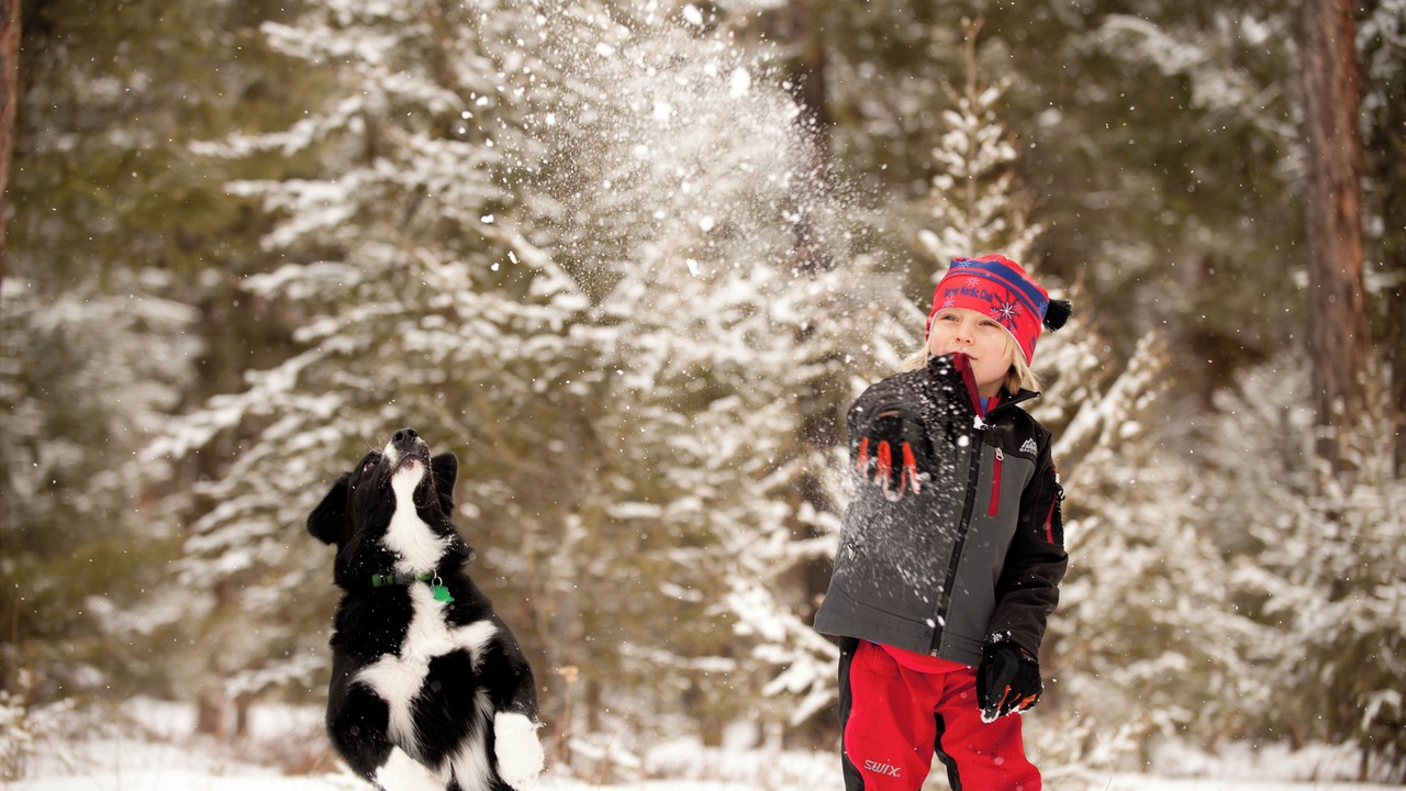 Photo of Others in Whitefish