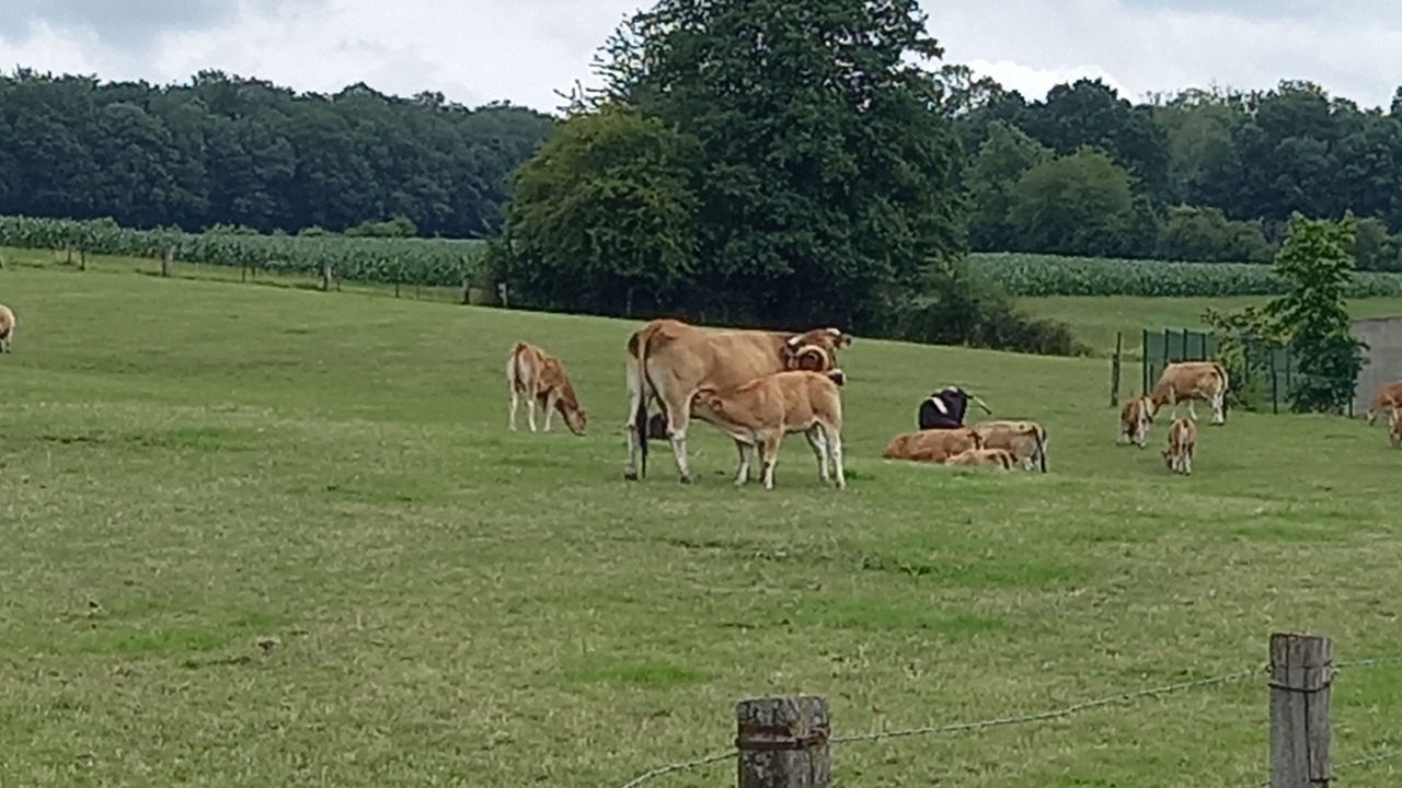 Photo of Outdoor in Nouvion-sur-Meuse