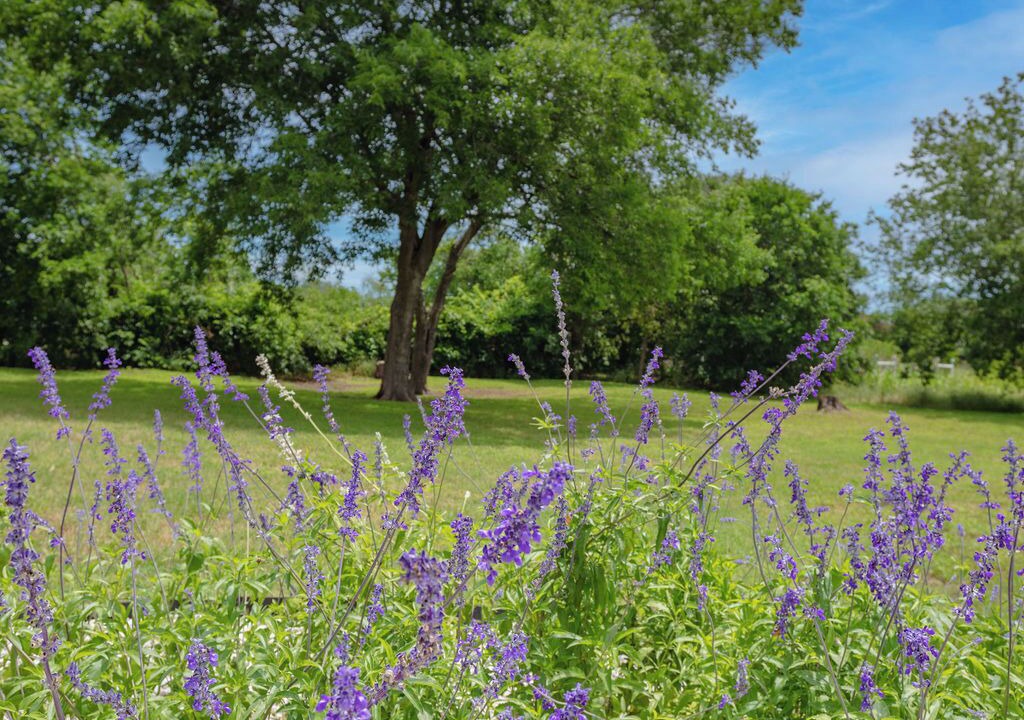 Photo of Outdoor in Waco