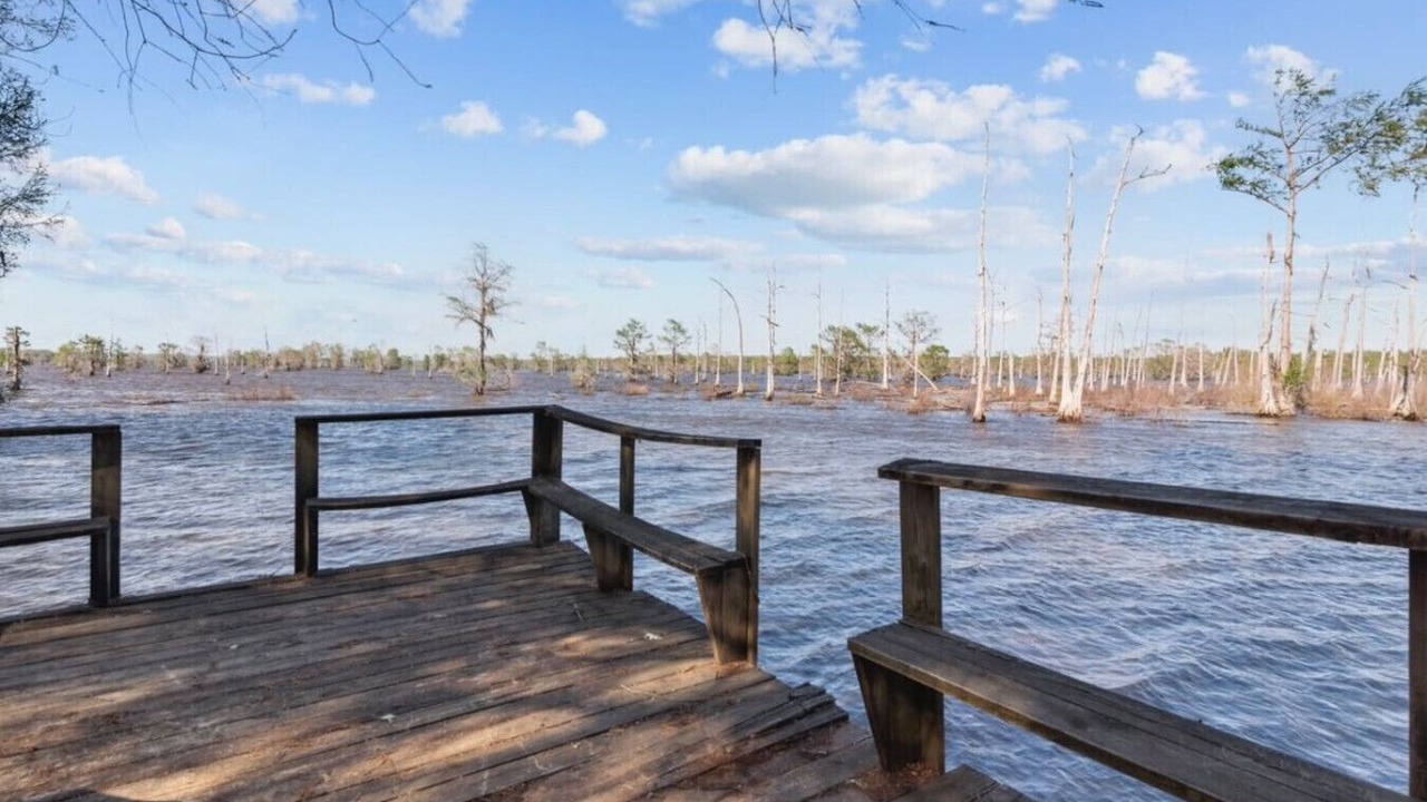 Photo of Others in East Point
