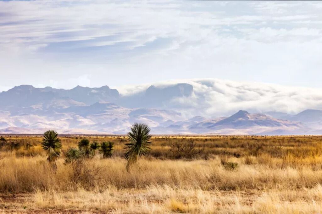 Photo of Others in Fort Davis