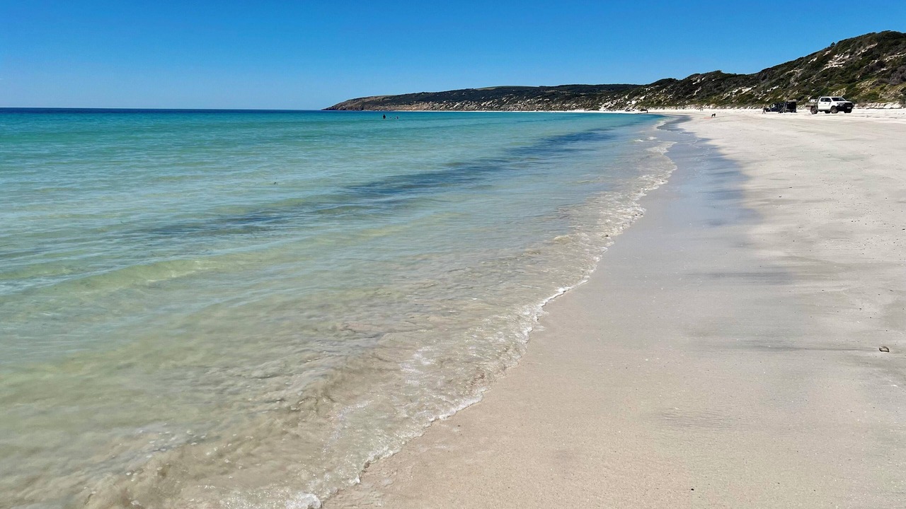 Photo of Others in Emu Bay