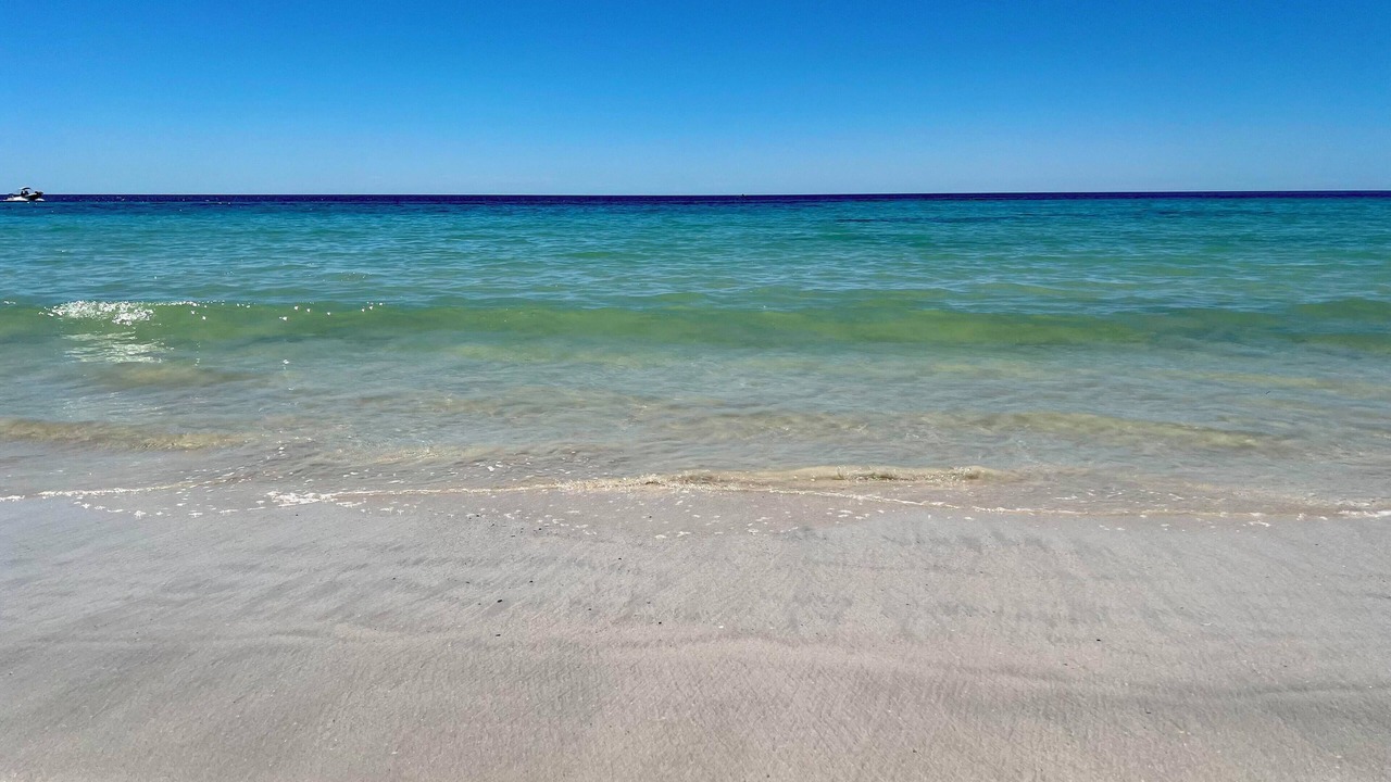 Photo of Others in Emu Bay