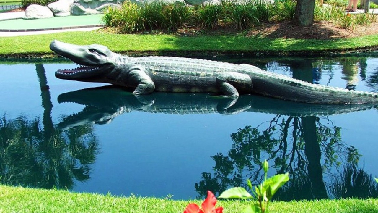 Photo of Outdoor in Central Myrtle Beach