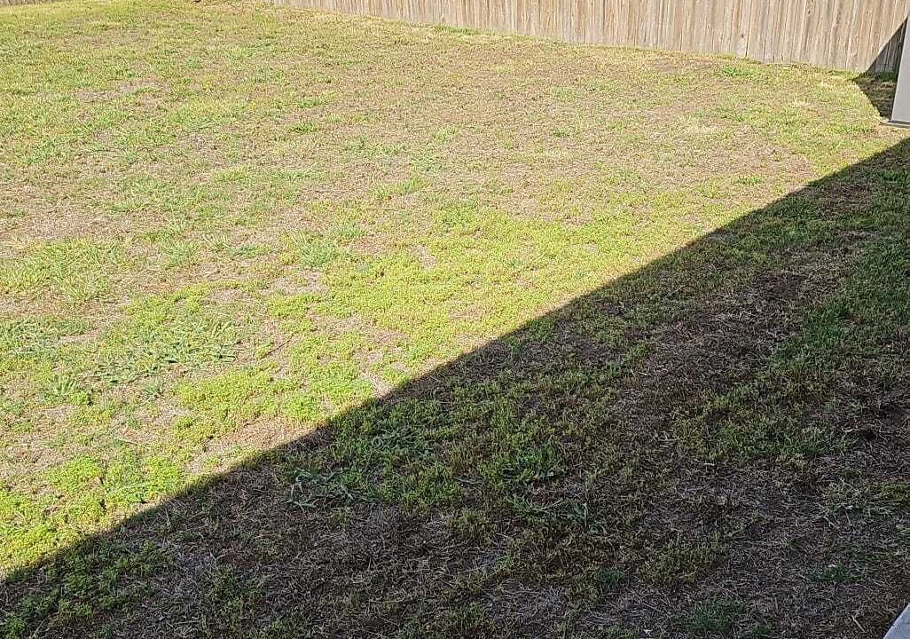 Photo of Outdoor in Kyle