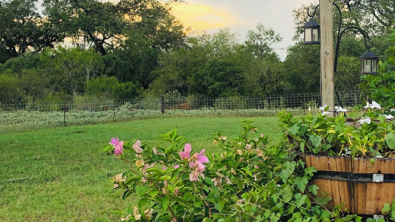 Photo of Outdoor in Pleasanton
