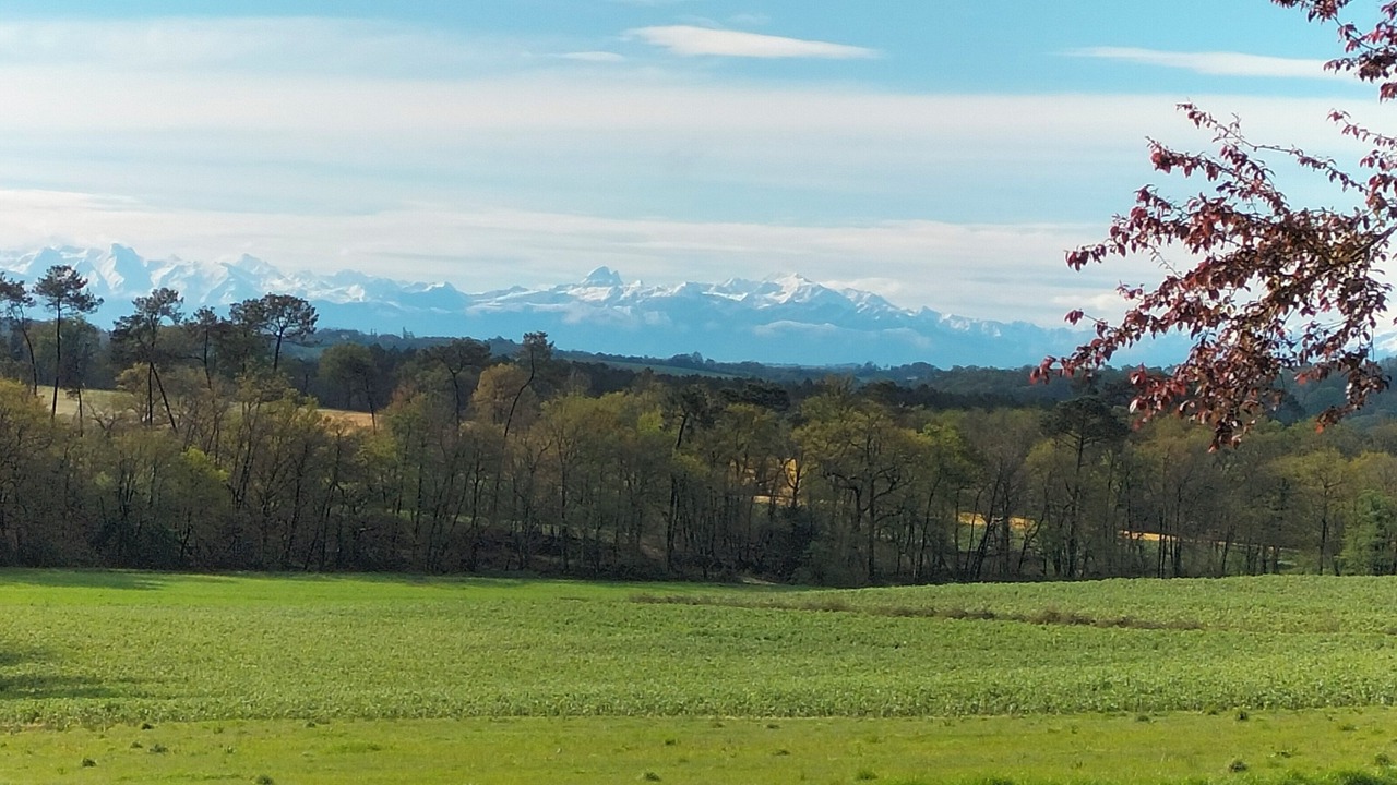 Photo of Outdoor in Larbey