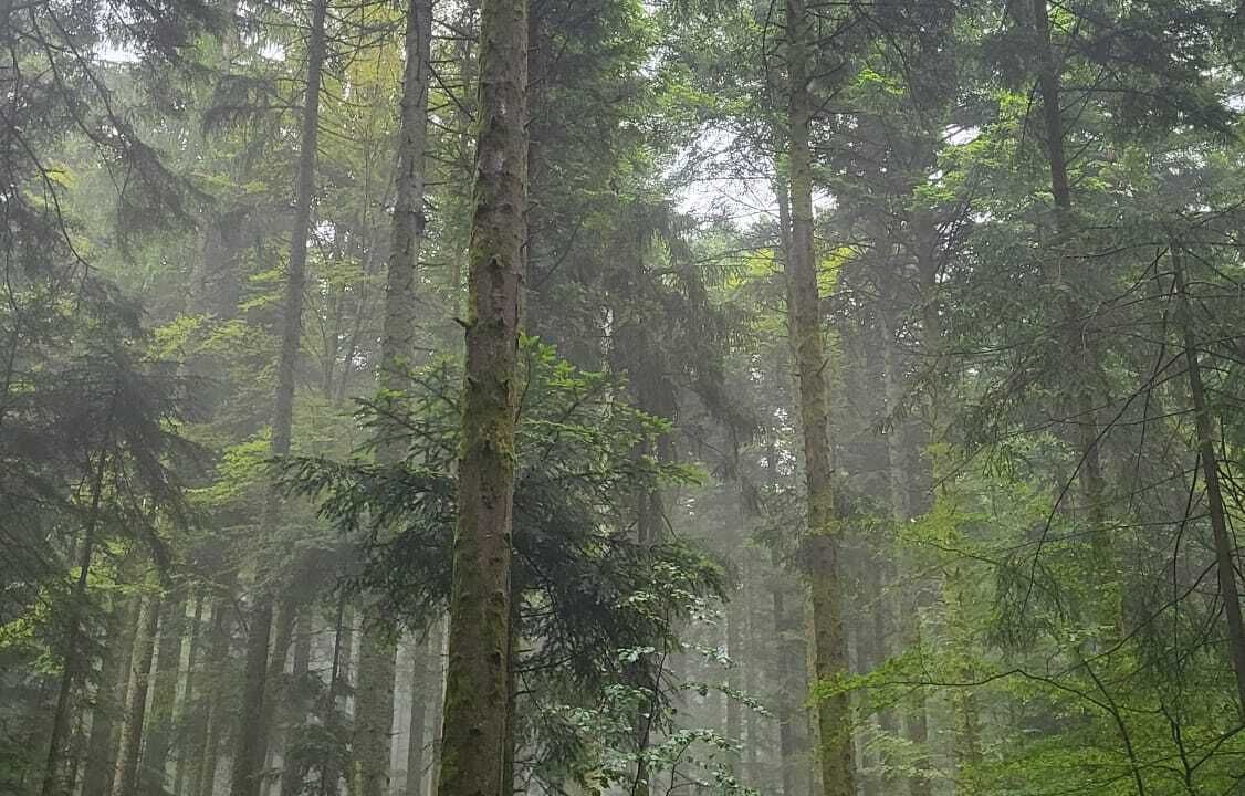 Photo of Others in Aumontzey