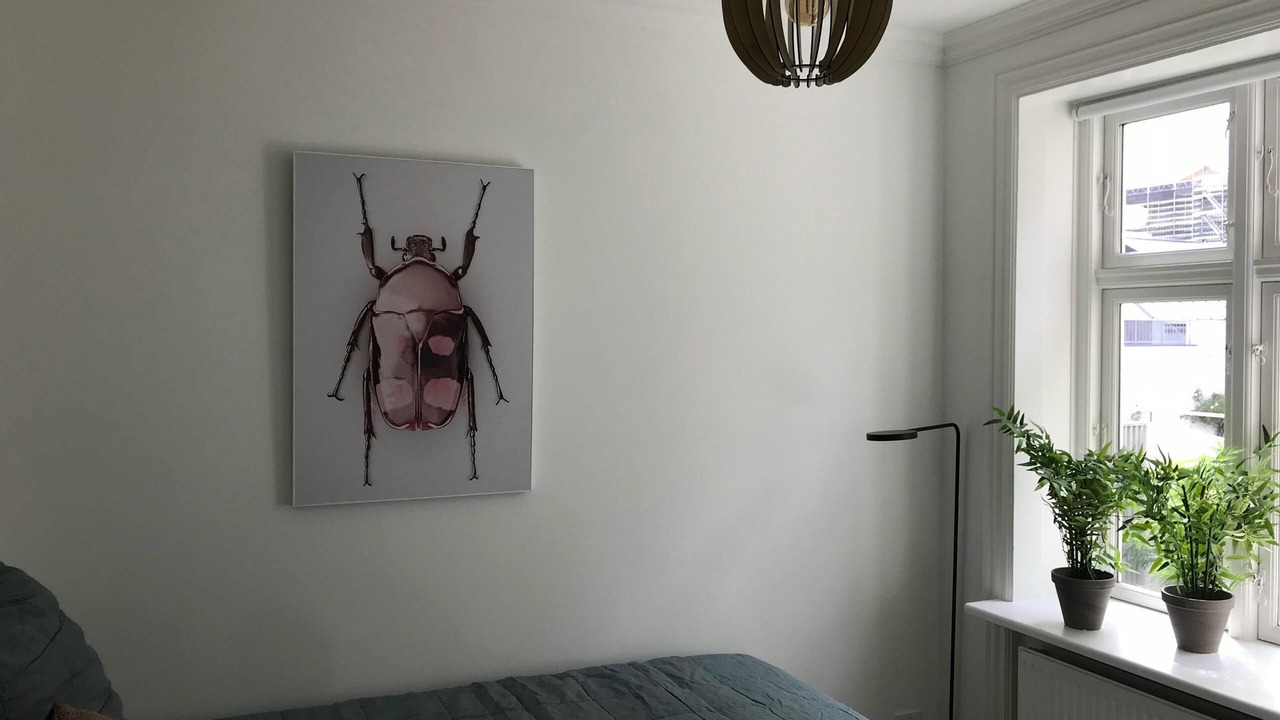 Photo of Bedroom in Osterbro