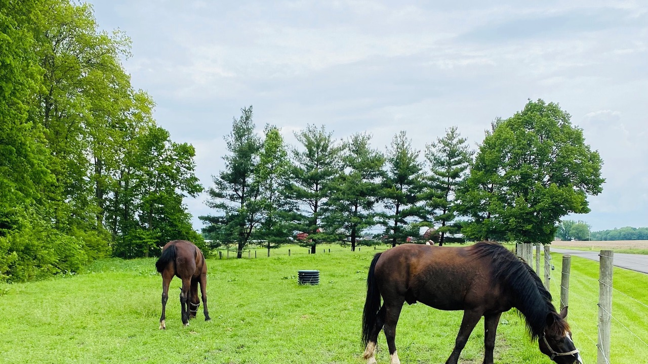 Photo of Outdoor in Nappanee