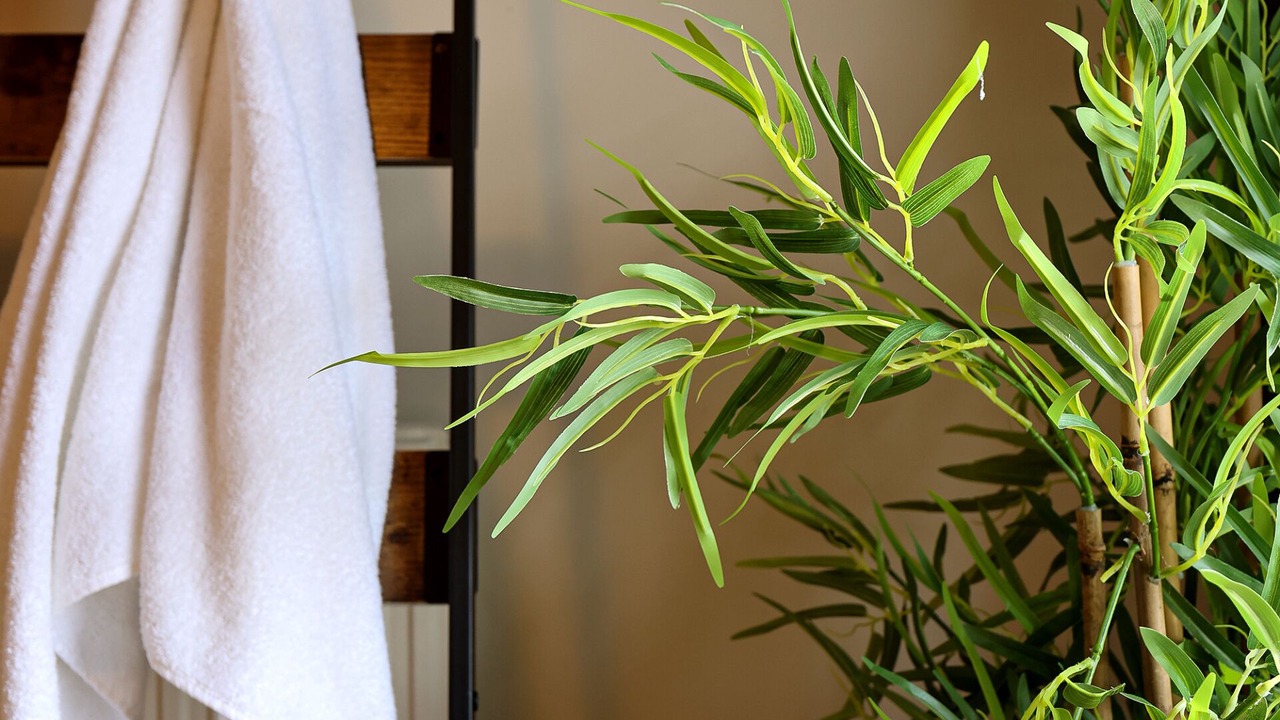 Photo of Bathroom in Port Sunlight