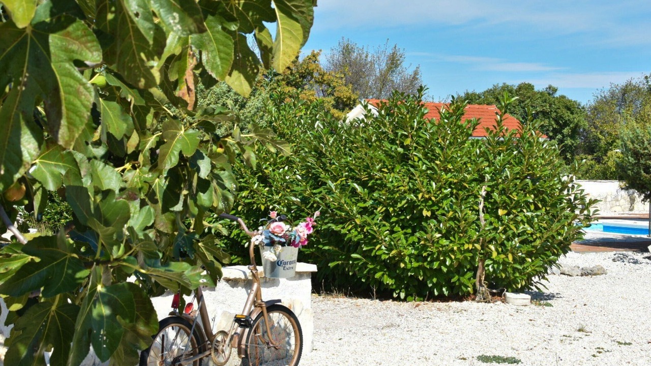 Photo of Outdoor in Bristane