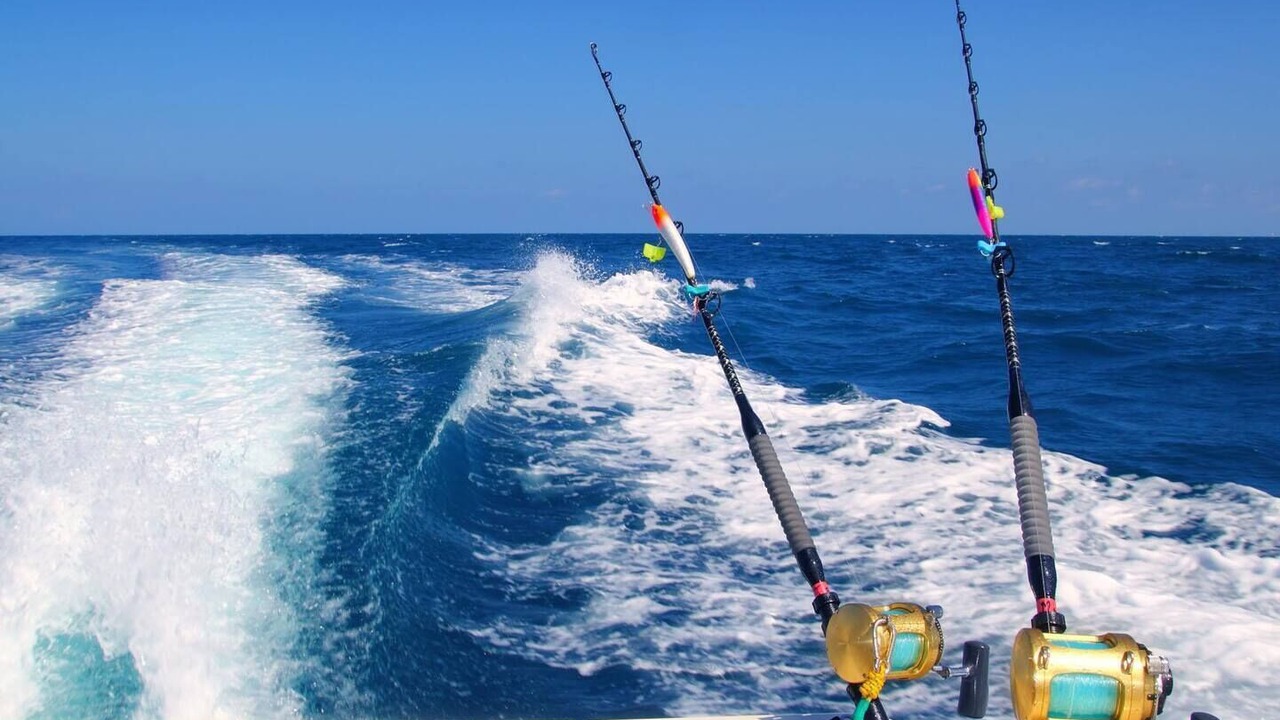 Photo of Others in Cocoa Beach