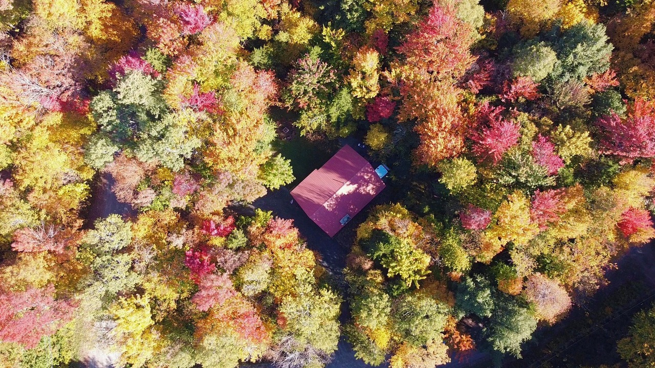 Photo of Outdoor in Wardsboro