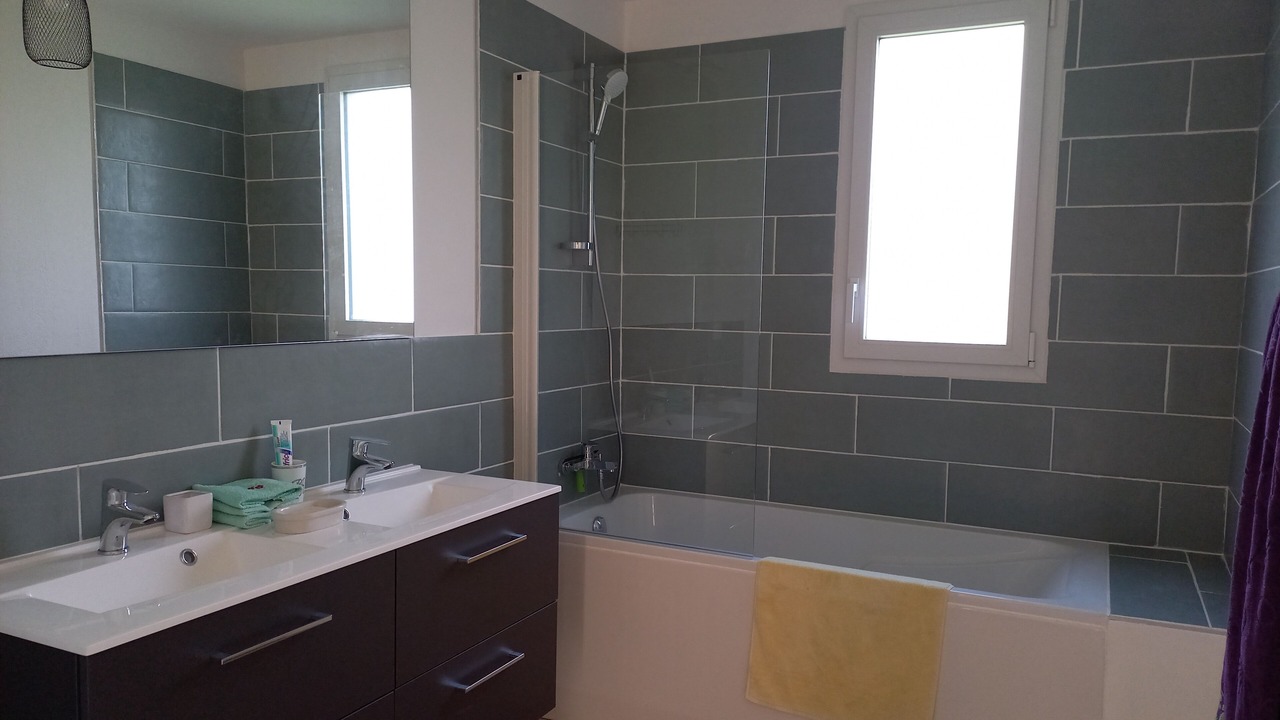 Photo of Bathroom in Torcy-et-Pouligny