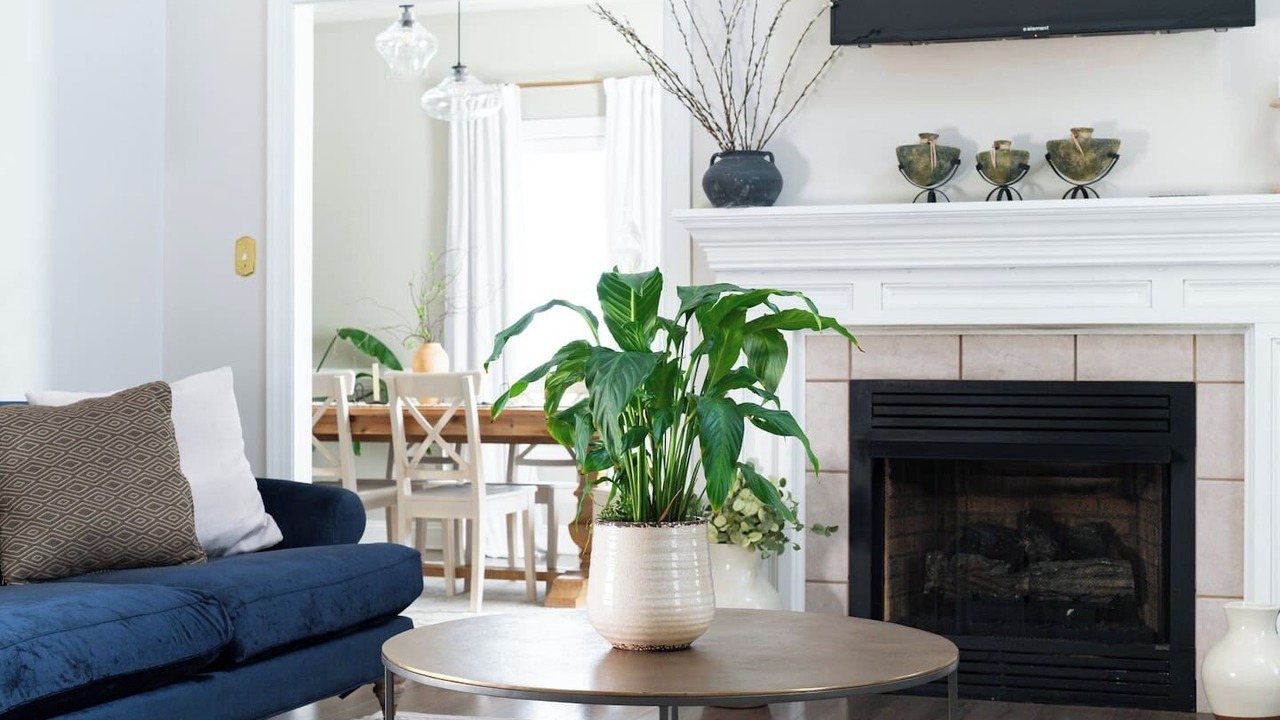 Photo of Livingroom in Lynchburg