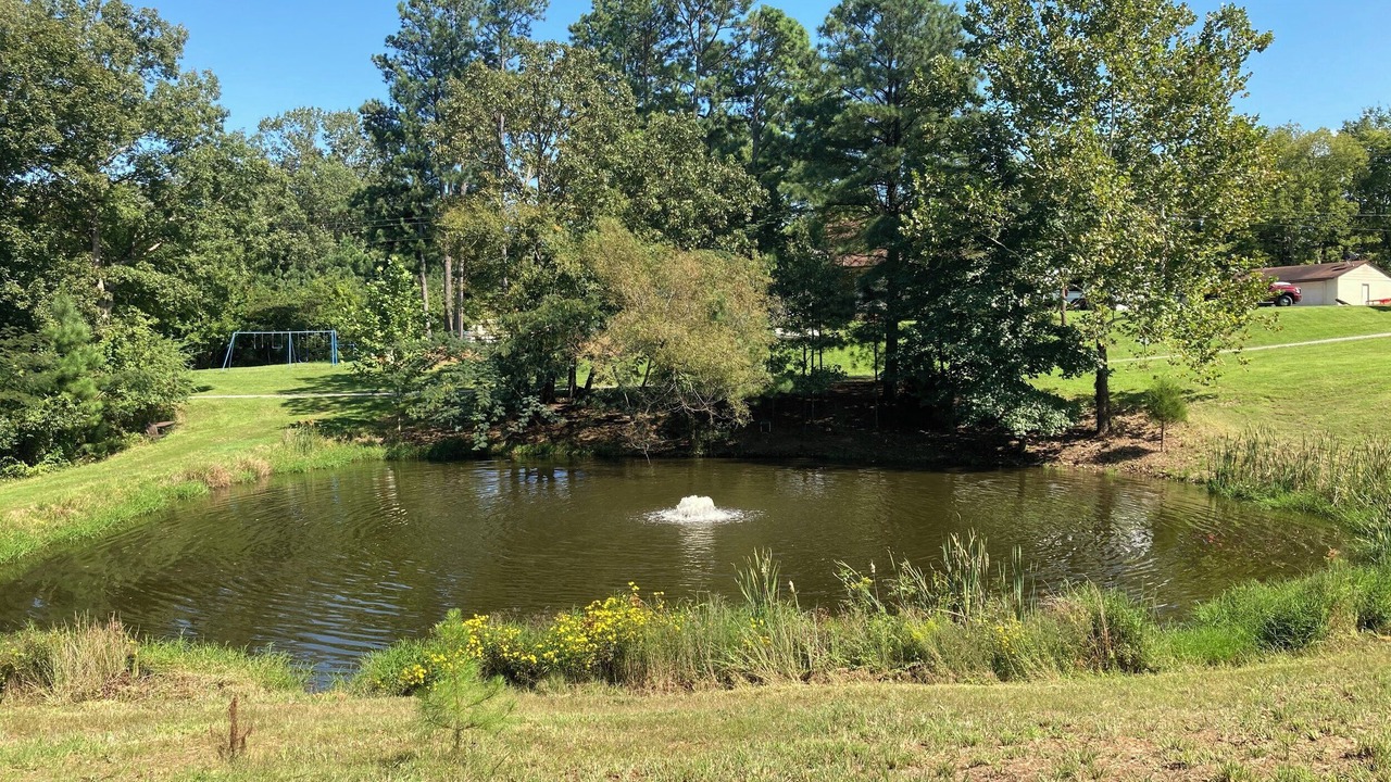 Photo of Others in Aurora