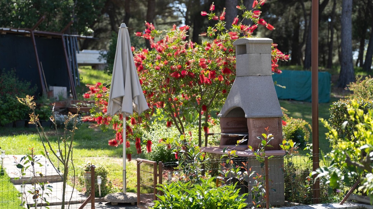Photo of Outdoor in Brulo