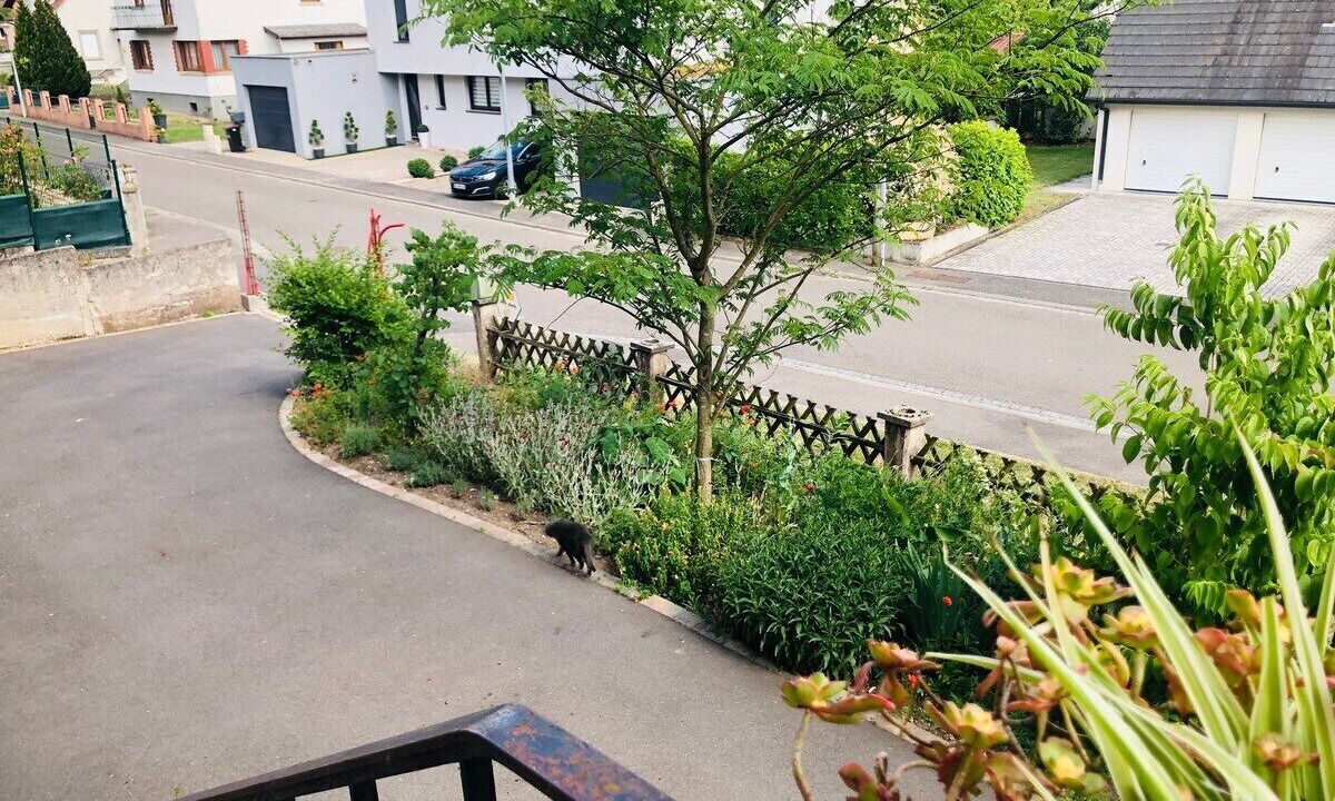 Photo of Outdoor in Bischwiller