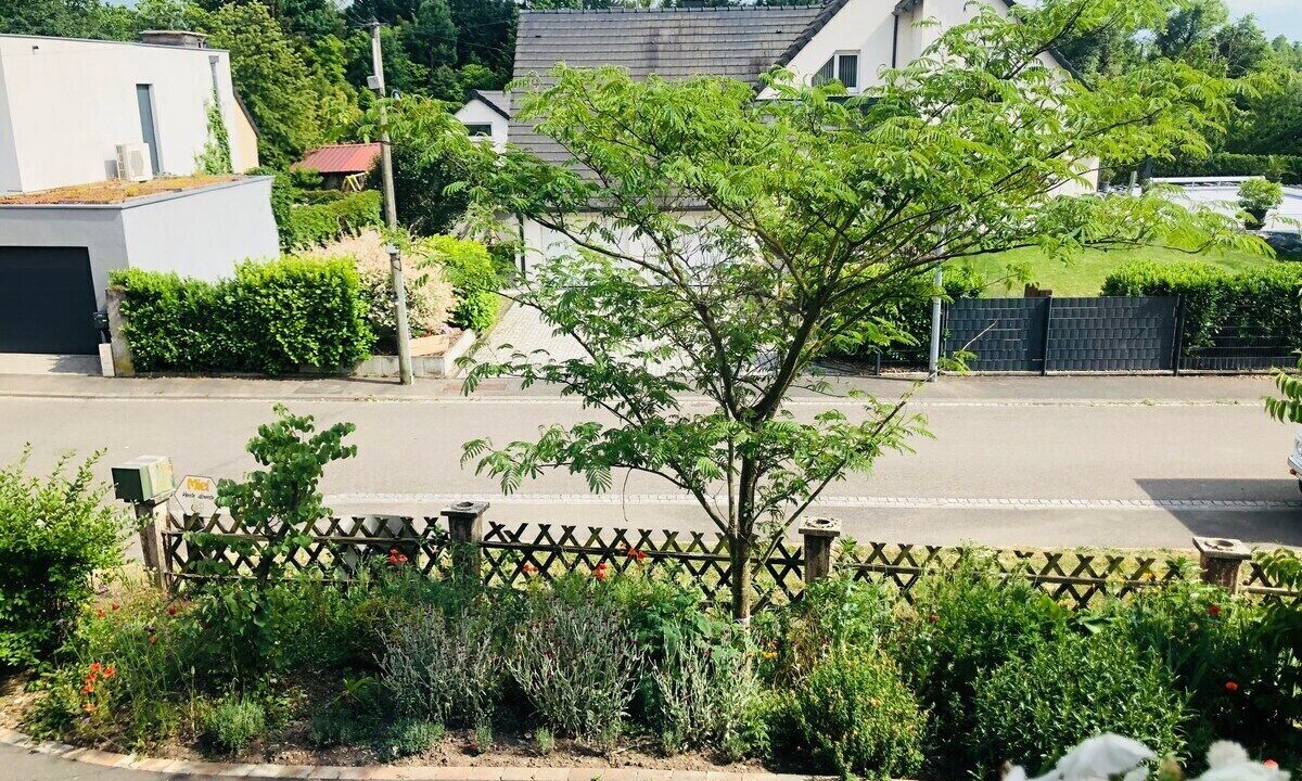 Photo of Outdoor in Bischwiller