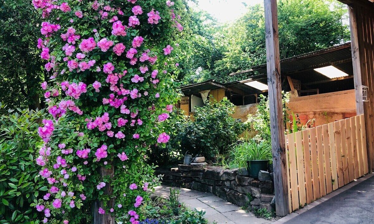 Photo of Outdoor in Bischwiller