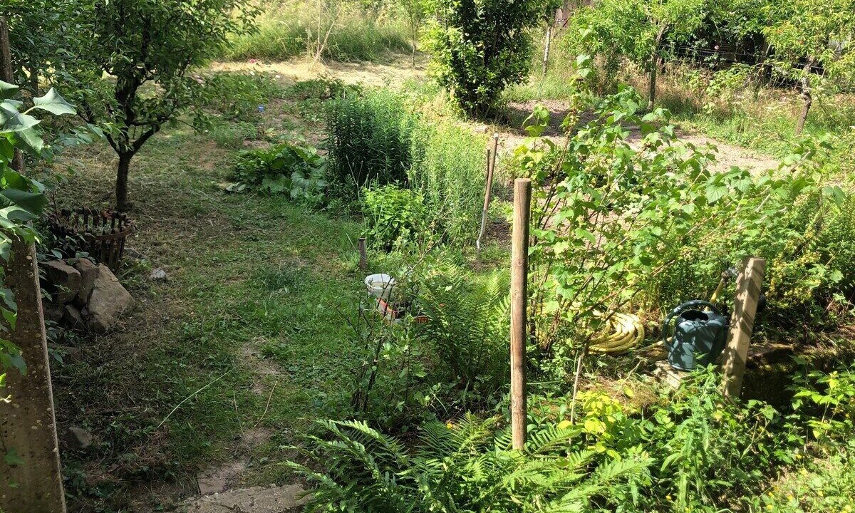 Photo of Outdoor in Bischwiller