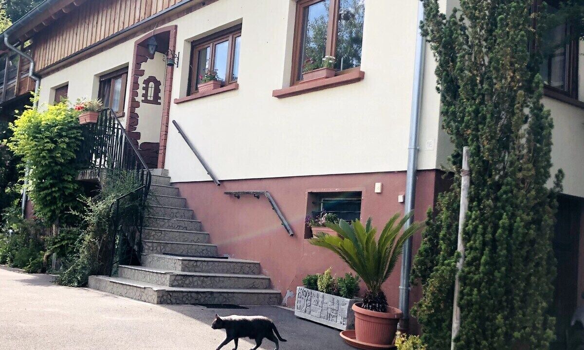 Photo of Outdoor in Bischwiller