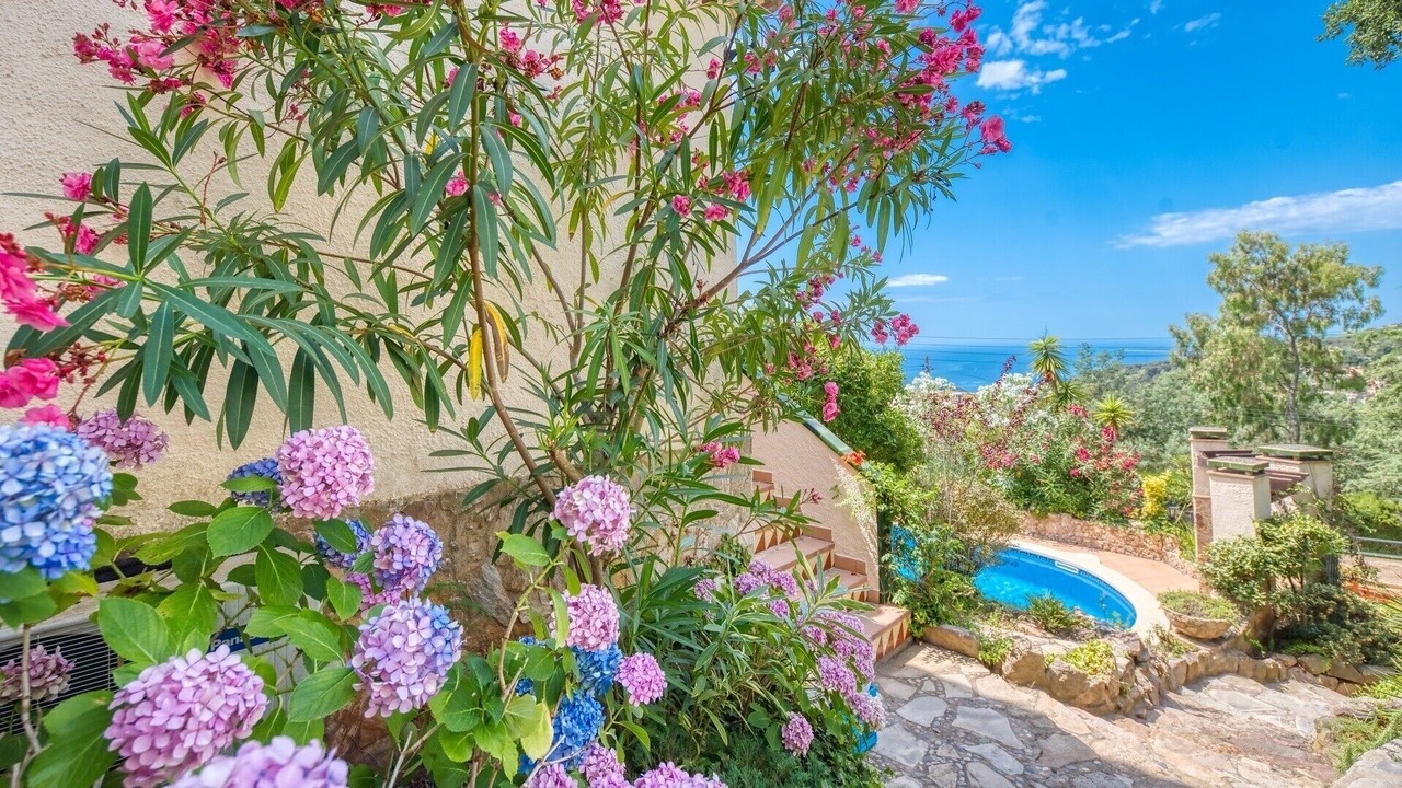 Photo of Outdoor in Lloret de Mar