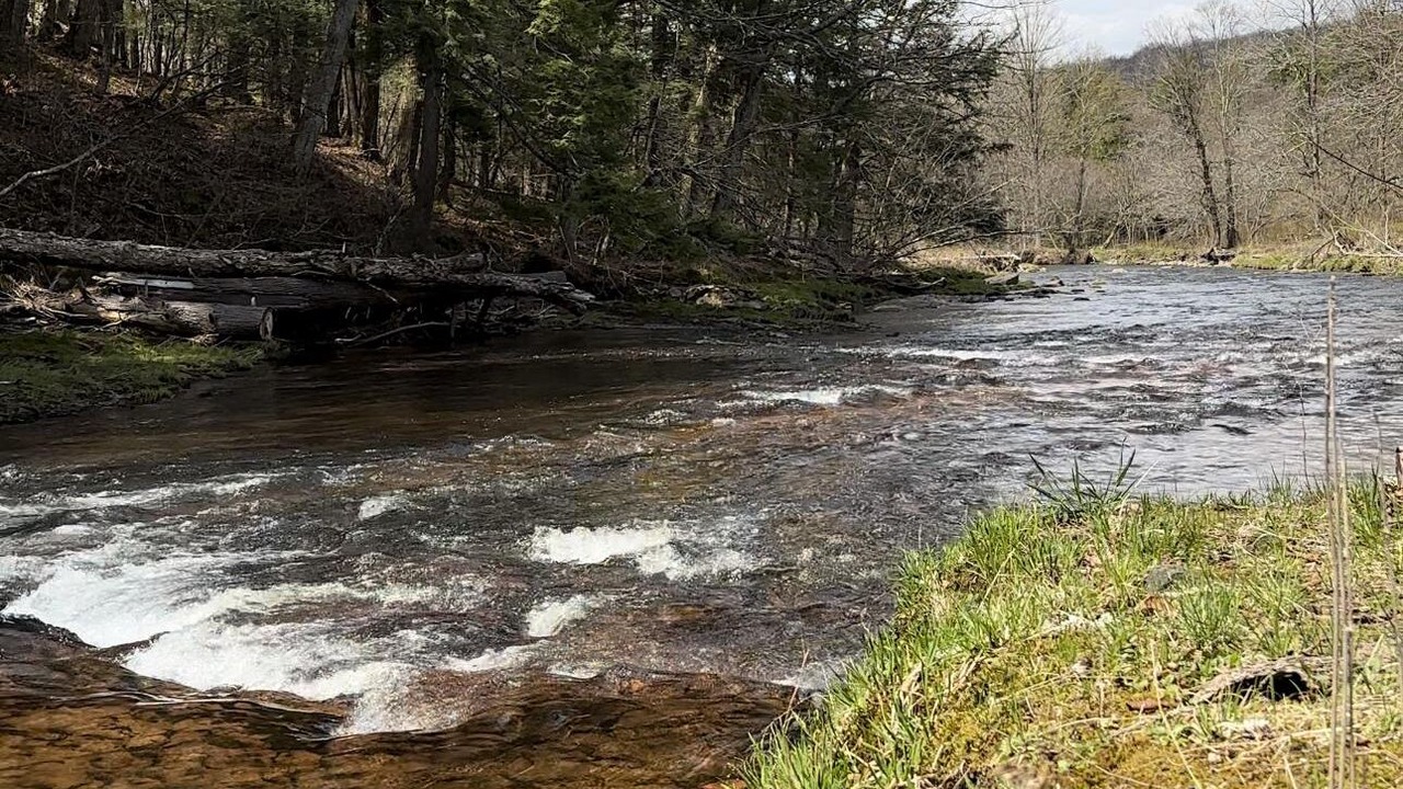Photo of Others in Livingston Manor