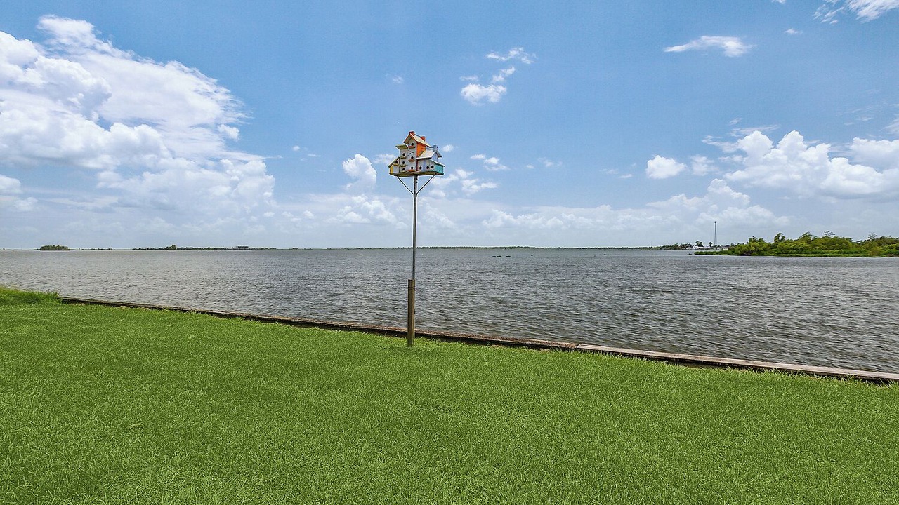 Photo of Outdoor in Des Allemands