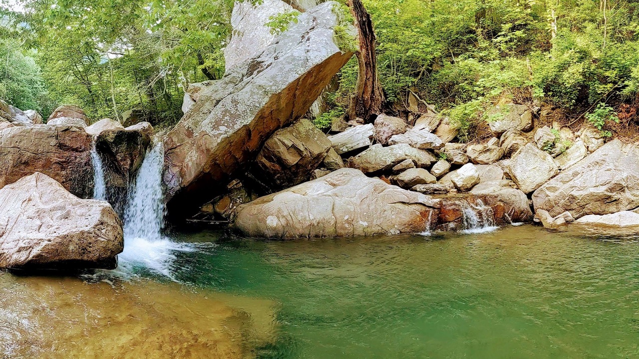 Photo of Others in Chattanooga