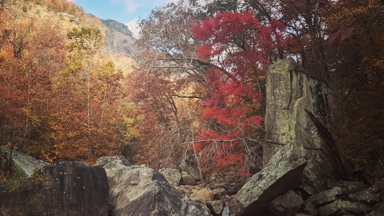 Photo of Outdoor in Chattanooga