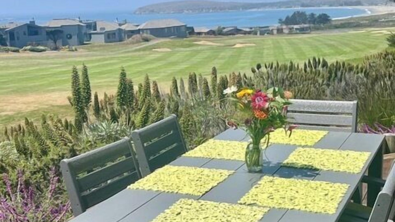 Photo of Others in Bodega Bay