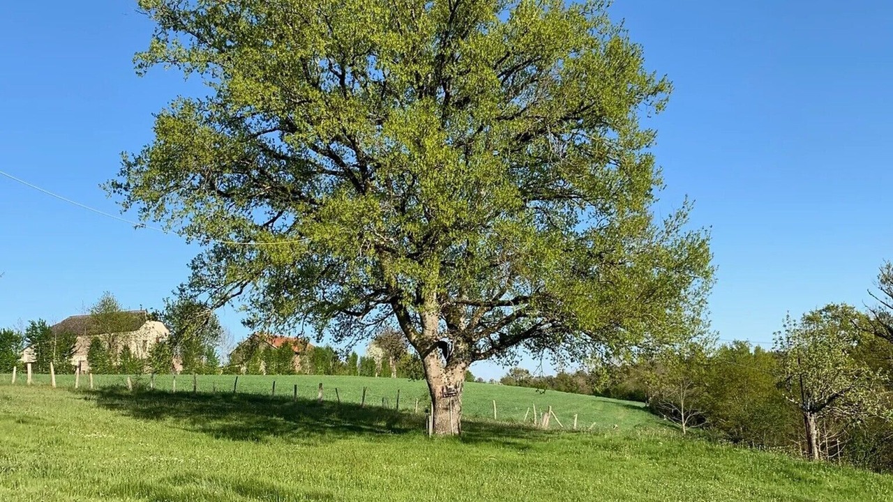 Photo of Others in Rignac