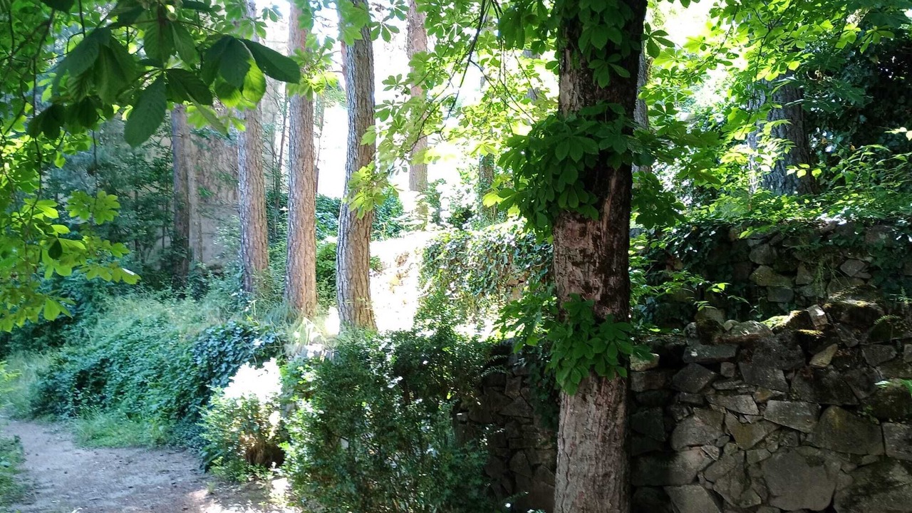 Photo of Outdoor in Cercedilla