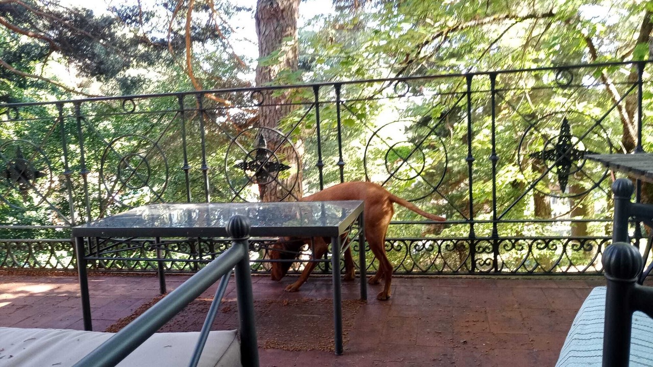 Photo of Outdoor in Cercedilla