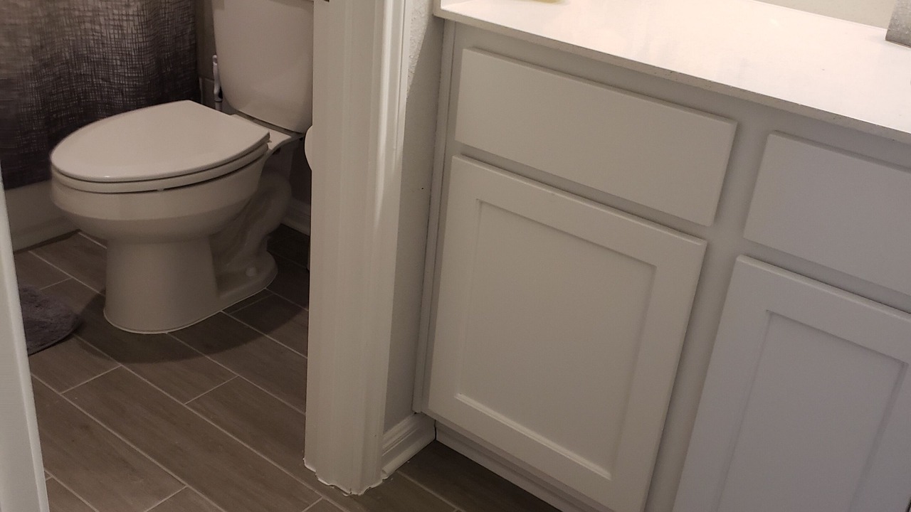 Photo of Bathroom in Williamson County