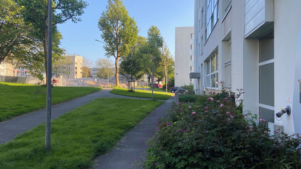 Photo of Outdoor in Bellevue