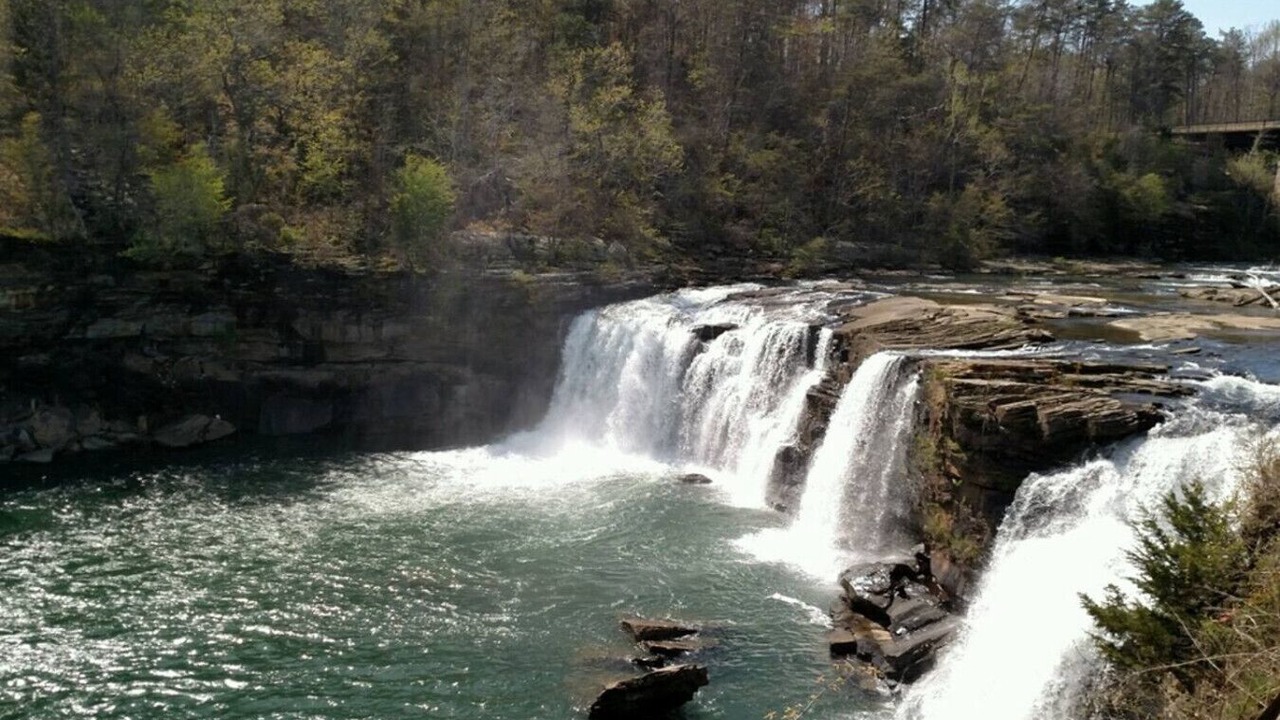 Photo of Others in Fort Payne