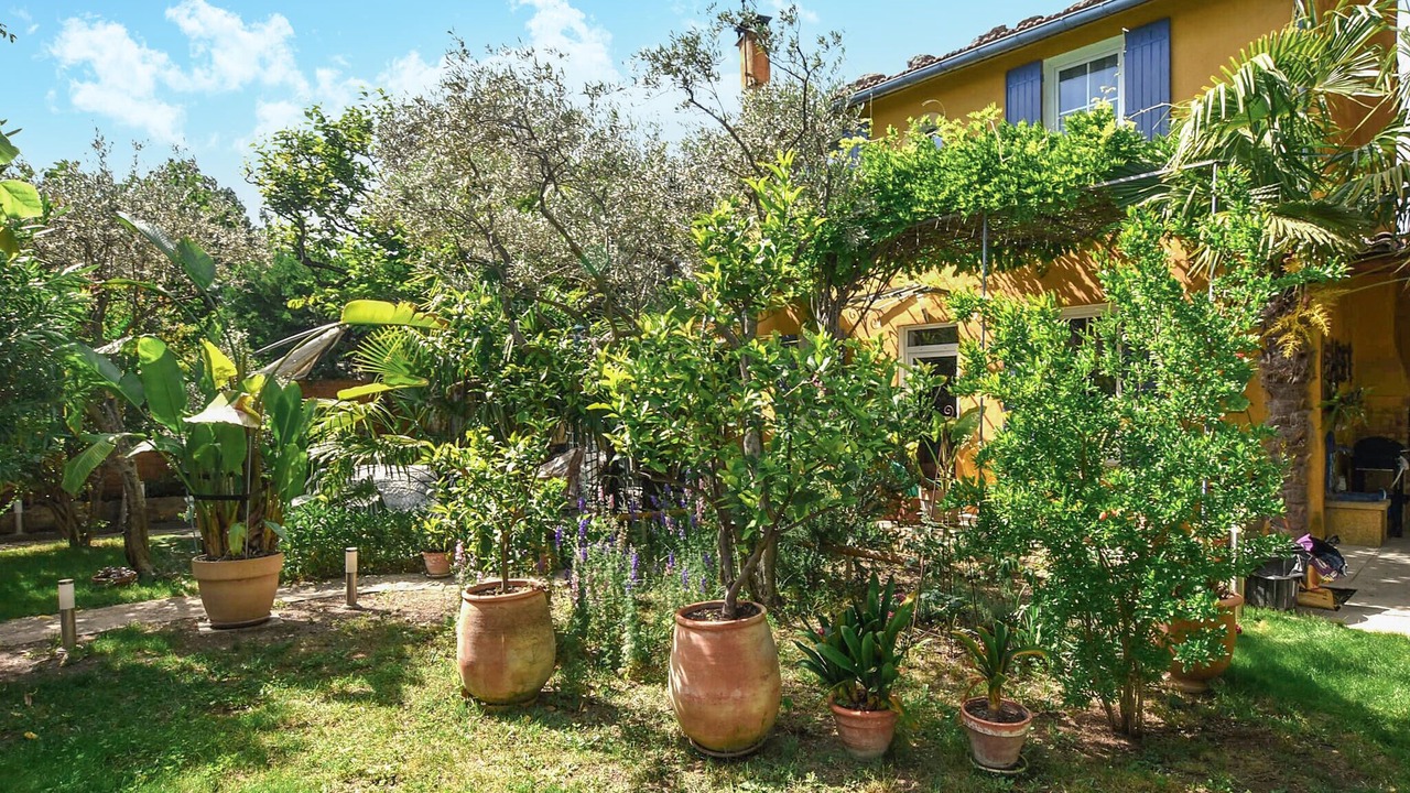 Photo of Others in Carpentras