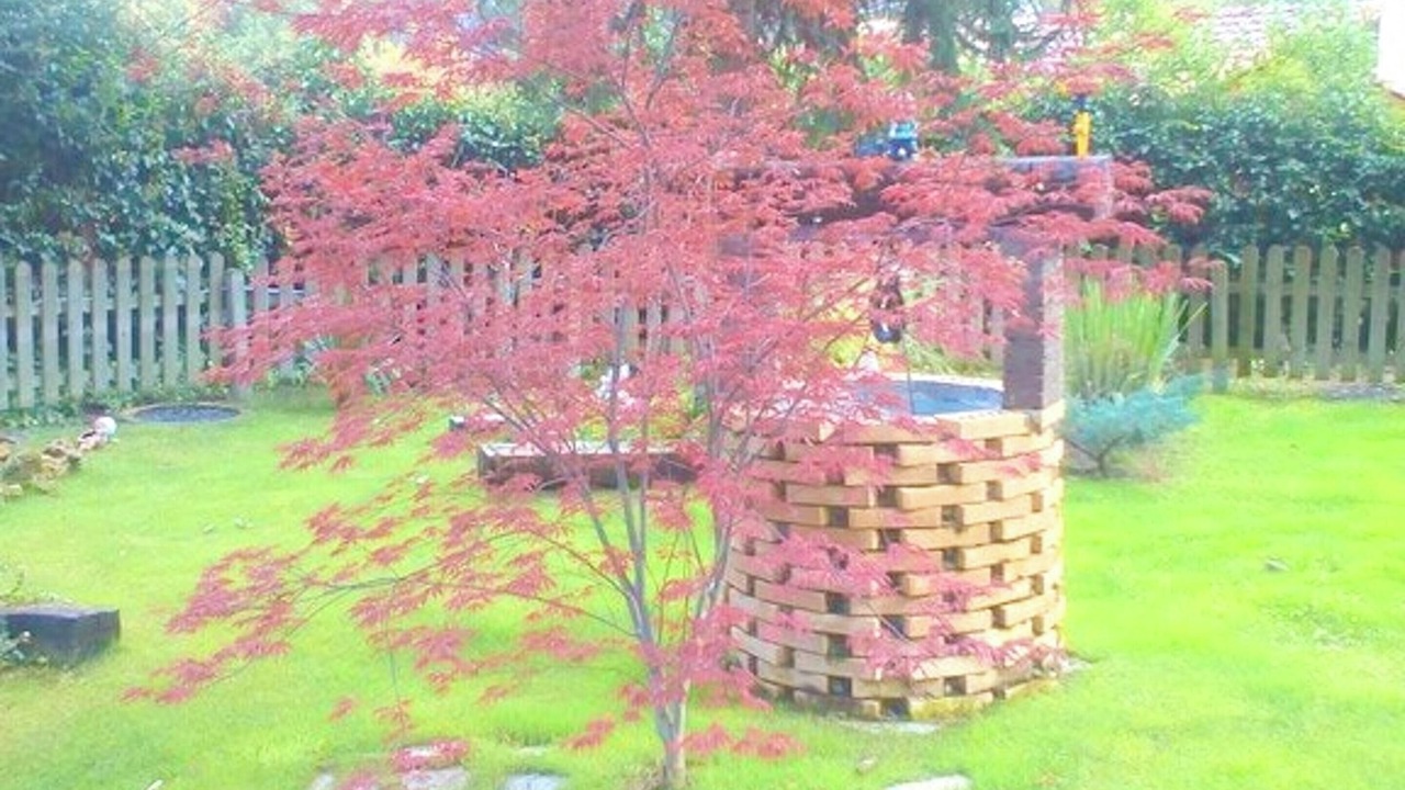 Photo of Outdoor in La Puebla de Castro