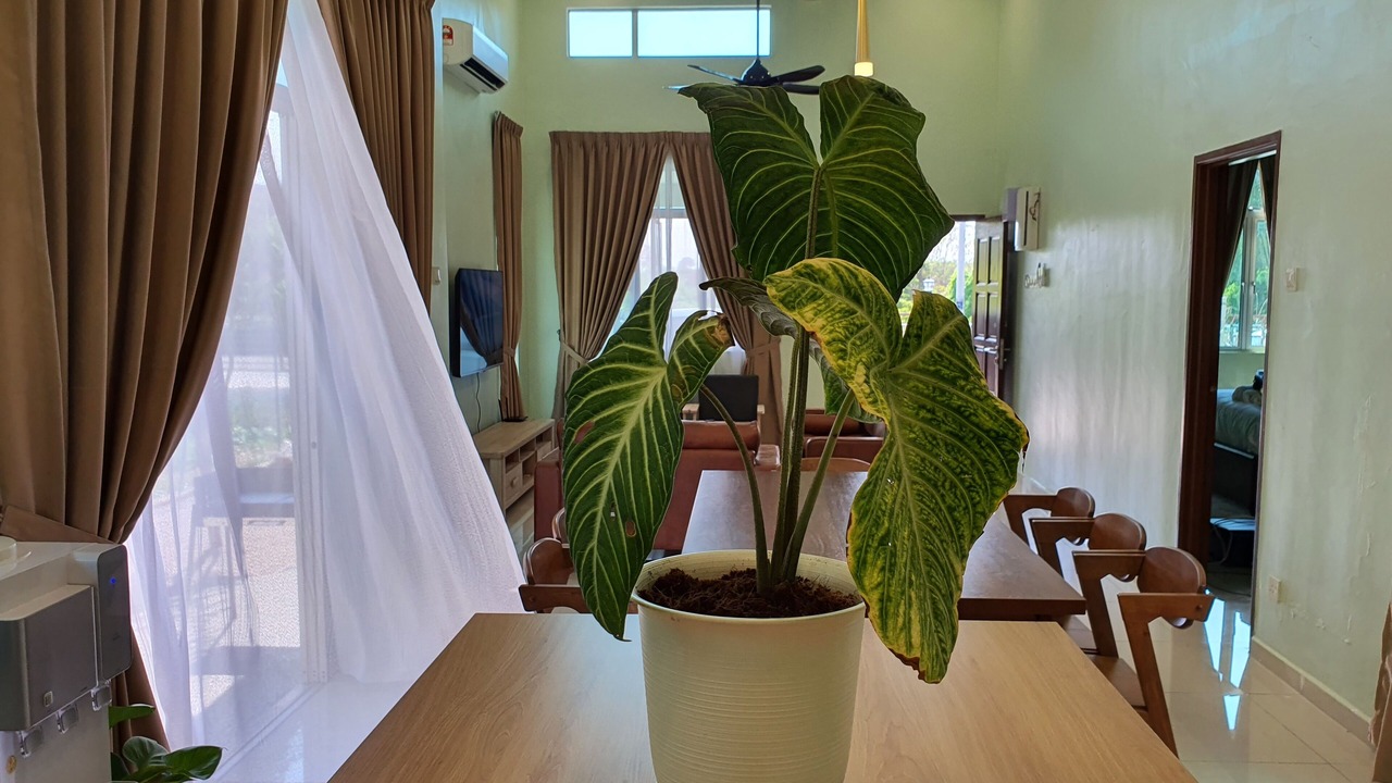 Photo of Others in Ayer Molek