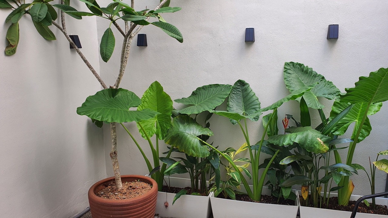 Photo of Outdoor in Ayer Molek