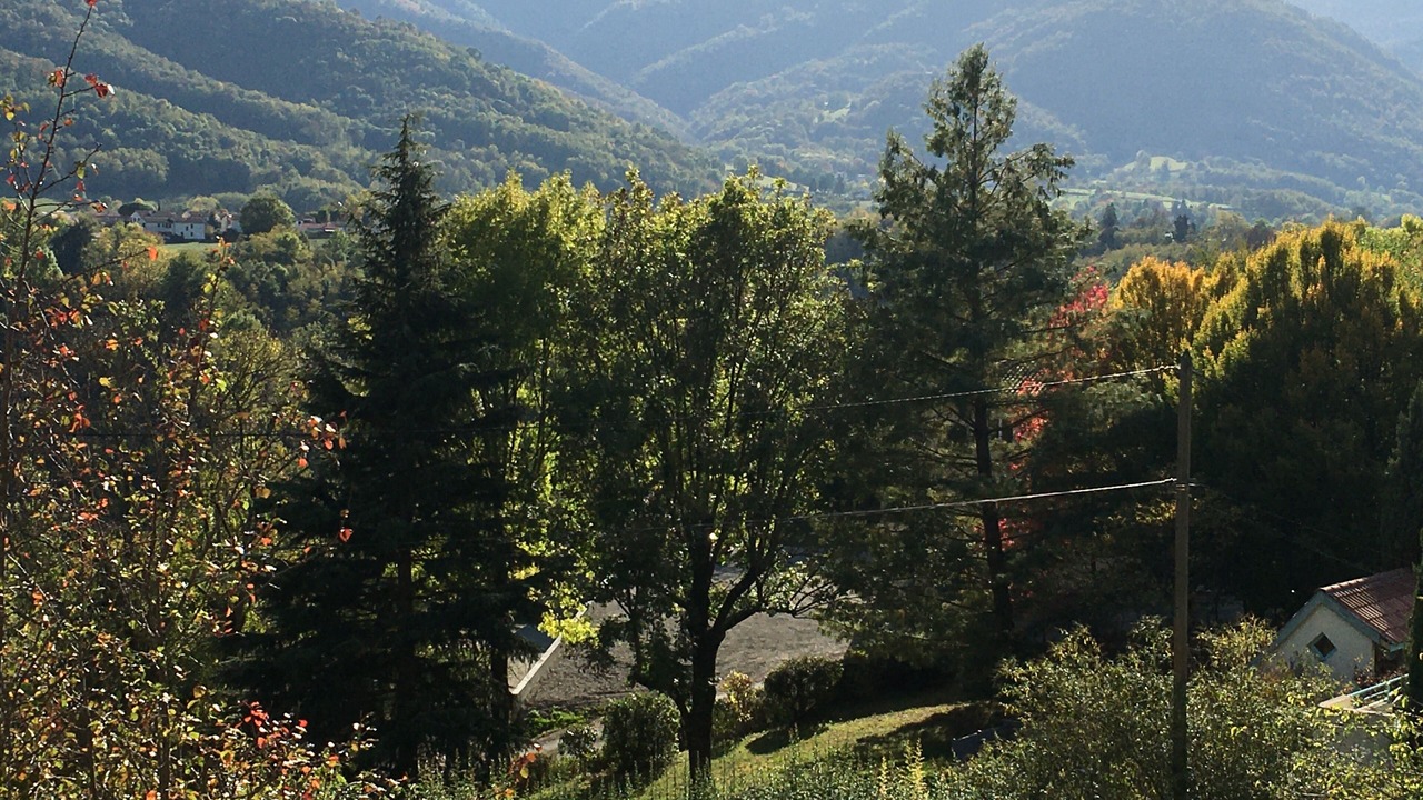 Photo of Others in Foix