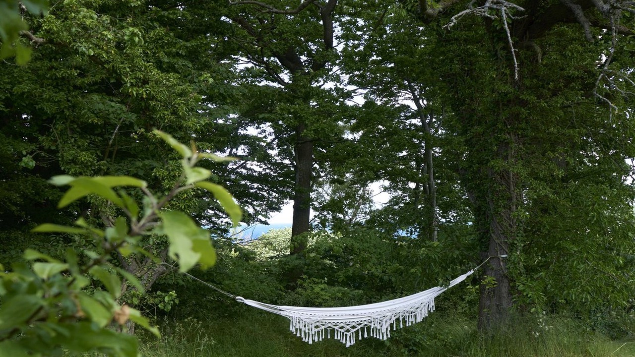Photo of Outdoor in Gudhjem
